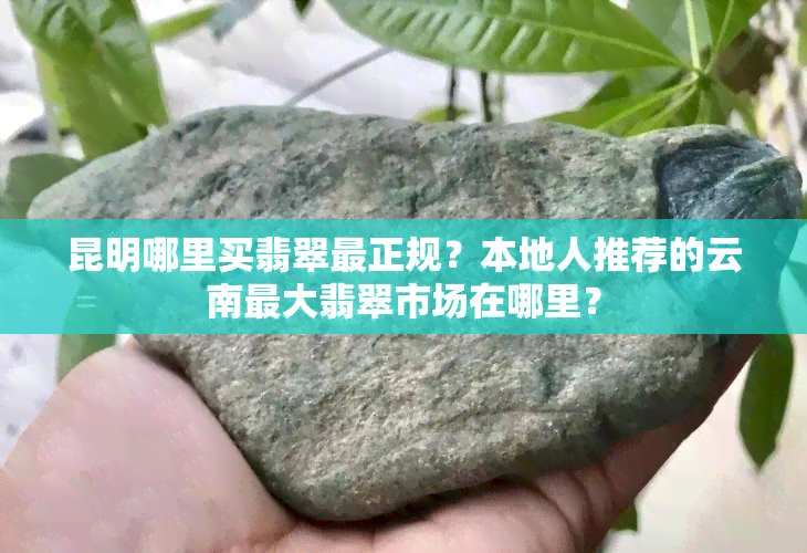 昆明哪里买翡翠最正规？本地人推荐的云南更大翡翠市场在哪里？