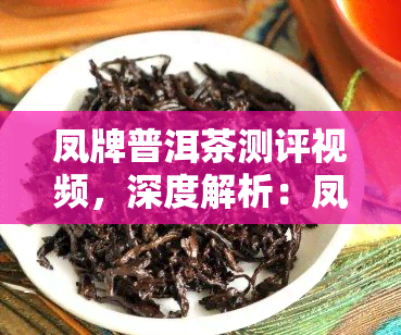 凤牌普洱茶测评视频，深度解析：凤牌普洱茶的口感与品质测评视频