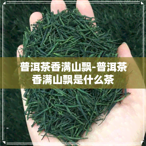 普洱茶香满山飘-普洱茶香满山飘是什么茶