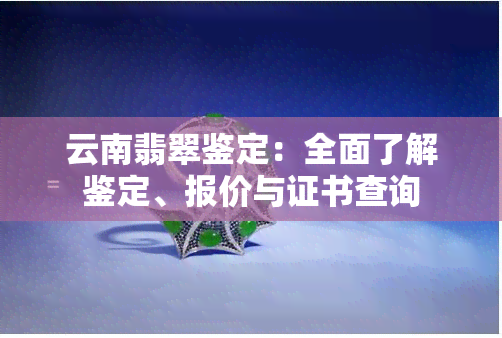 云南翡翠鉴定：全面了解鉴定、报价与证书查询