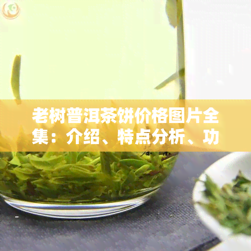 老树普洱茶饼价格图片全集：介绍、特点分析、功效解析