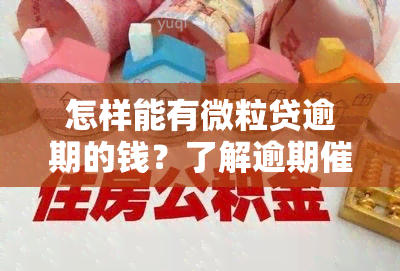 怎样能有微粒贷逾期的钱？了解逾期催款流程与还款方法