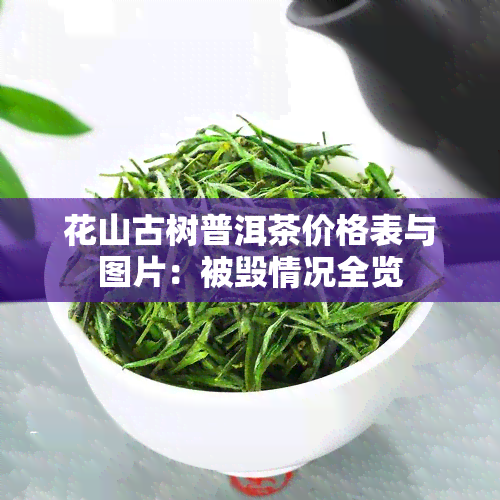 花山古树普洱茶价格表与图片：被毁情况全览