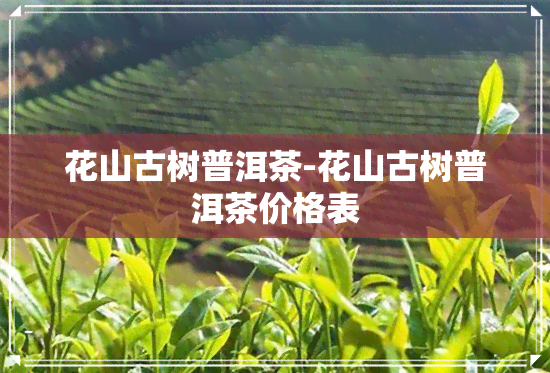 花山古树普洱茶-花山古树普洱茶价格表