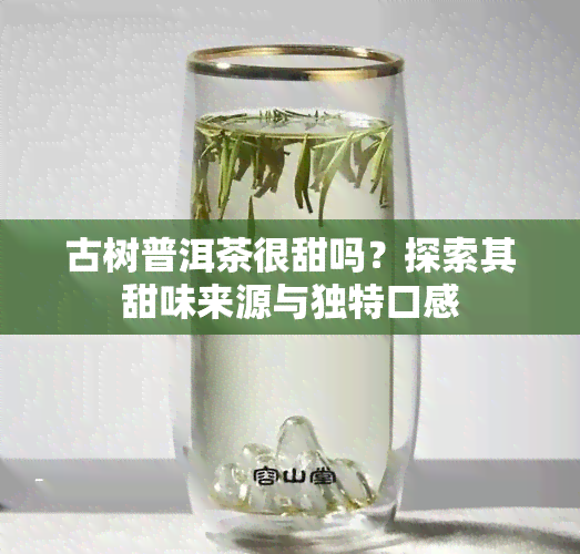 古树普洱茶很甜吗？探索其甜味来源与独特口感