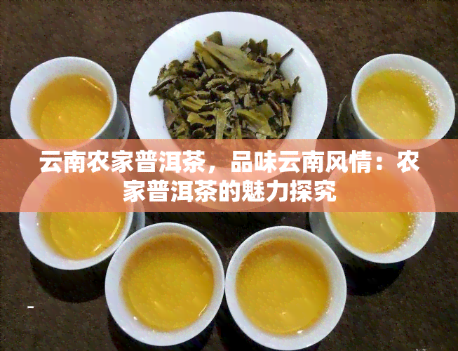 云南农家普洱茶，品味云南风情：农家普洱茶的魅力探究