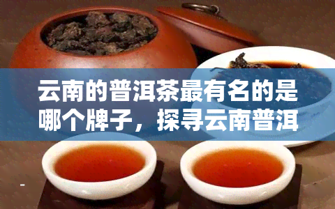 云南的普洱茶最有名的是哪个牌子，探寻云南普洱茶之冠：哪个更具名？