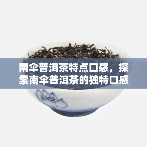 南伞普洱茶特点口感，探索南伞普洱茶的独特口感特性