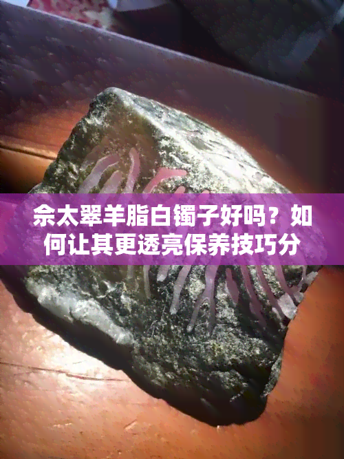 佘太翠羊脂白镯子好吗？如何让其更透亮保养技巧分享