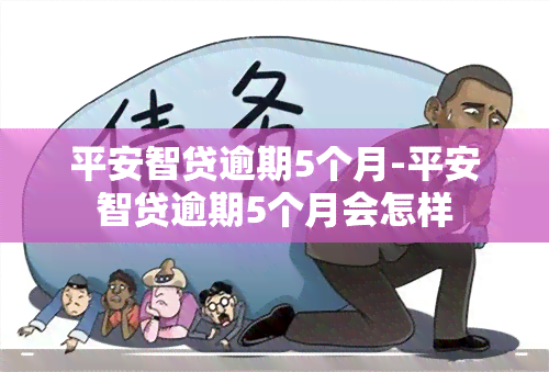 平安智贷逾期5个月-平安智贷逾期5个月会怎样