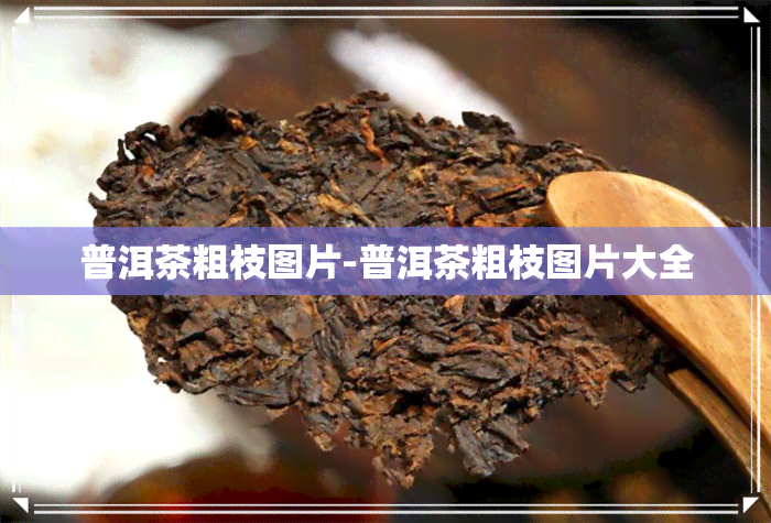 普洱茶粗枝图片-普洱茶粗枝图片大全