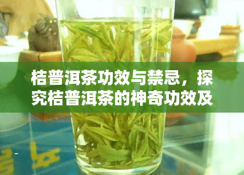 桔普洱茶功效与禁忌，探究桔普洱茶的神奇功效及其饮用禁忌