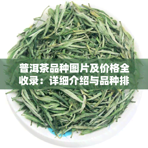 普洱茶品种图片及价格全收录：详细介绍与品种排名