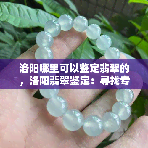 洛阳哪里可以鉴定翡翠的，洛阳翡翠鉴定：寻找专业机构与建议