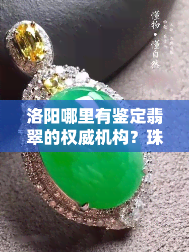 洛阳哪里有鉴定翡翠的权威机构？珠宝、玉石一网打尽！