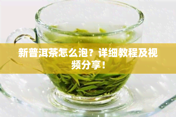 新普洱茶怎么泡？详细教程及视频分享！