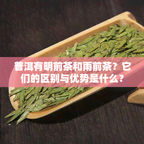 普洱有明前茶和雨前茶？它们的区别与优势是什么？