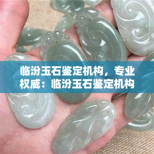 临汾玉石鉴定机构，专业权威：临汾玉石鉴定机构提供准确可靠的鉴定服务