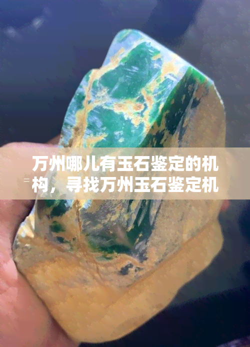 万州哪儿有玉石鉴定的机构，寻找万州玉石鉴定机构？这里有你需要的答案！