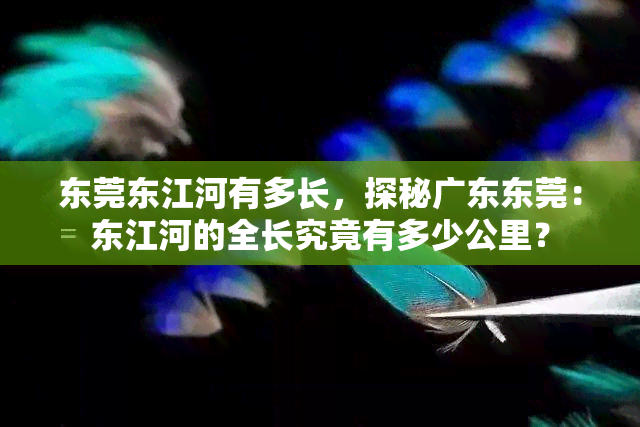 东莞东江河有多长，探秘广东东莞：东江河的全长究竟有多少公里？