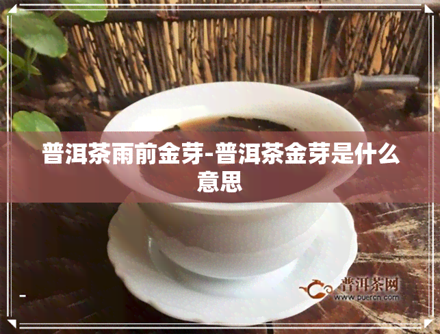 普洱茶雨前金芽-普洱茶金芽是什么意思