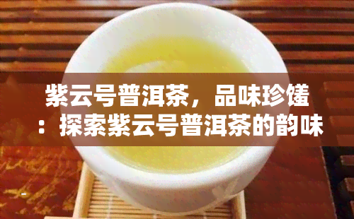 紫云号普洱茶，品味珍馐：探索紫云号普洱茶的韵味与历