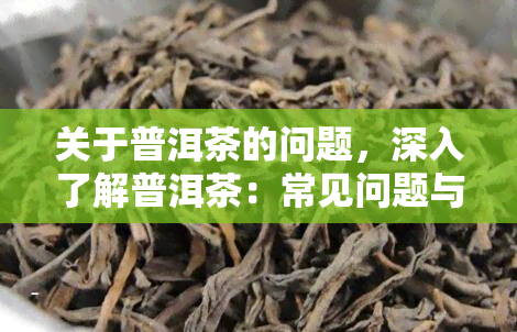 关于普洱茶的问题，深入了解普洱茶：常见问题与解答