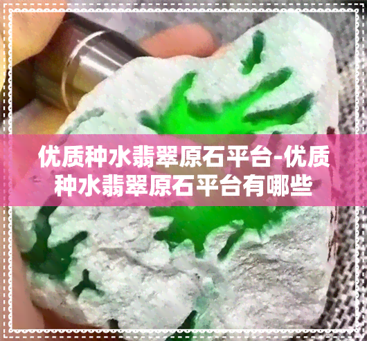 优质种水翡翠原石平台-优质种水翡翠原石平台有哪些