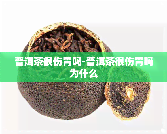 普洱茶很伤胃吗-普洱茶很伤胃吗为什么