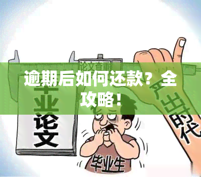 逾期后如何还款？全攻略！