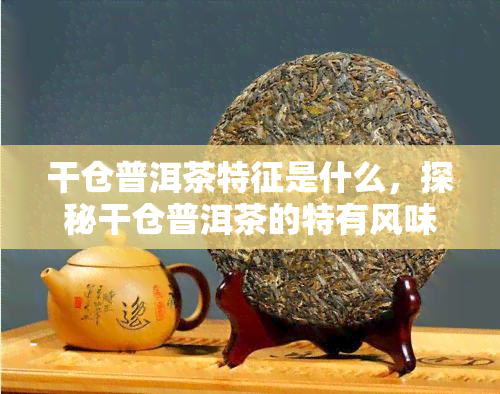 干仓普洱茶特征是什么，探秘干仓普洱茶的特有风味与品质特征