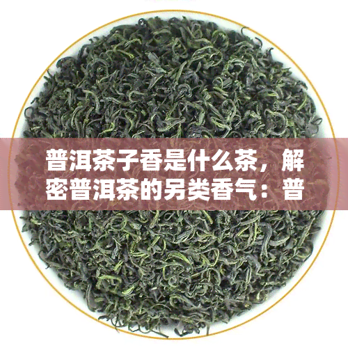 普洱茶子香是什么茶，解密普洱茶的另类香气：普洱茶子香究竟是什么茶？