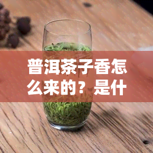 普洱茶子香怎么来的？是什么茶，需要多少年？