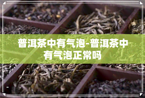 普洱茶中有气泡-普洱茶中有气泡正常吗