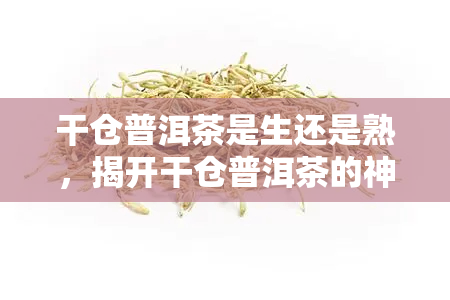 干仓普洱茶是生还是熟，揭开干仓普洱茶的神秘面纱：它是生茶还是熟茶？