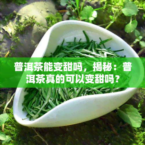 普洱茶能变甜吗，揭秘：普洱茶真的可以变甜吗？