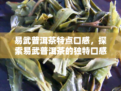 易武普洱茶特点口感，探索易武普洱茶的独特口感特性