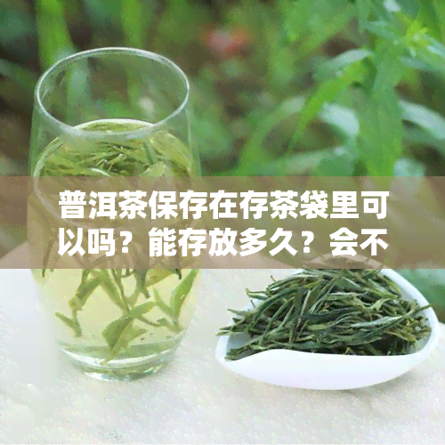 普洱茶保存在存茶袋里可以吗？能存放多久？会不会转化？有吗？