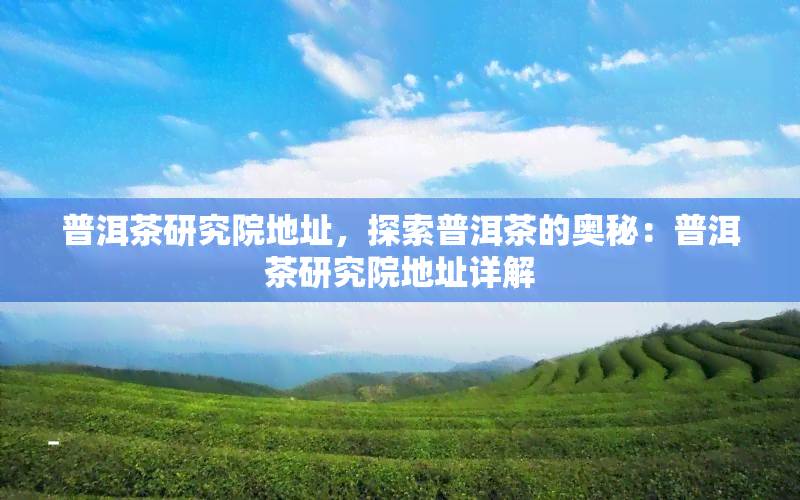 普洱茶研究院地址，探索普洱茶的奥秘：普洱茶研究院地址详解