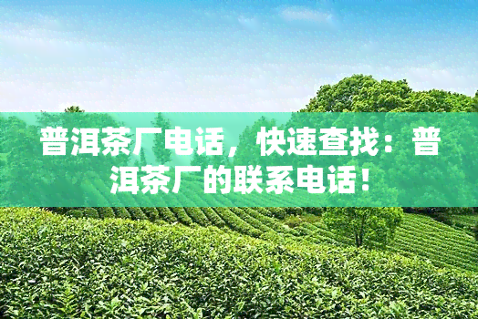 普洱茶厂电话，快速查找：普洱茶厂的联系电话！