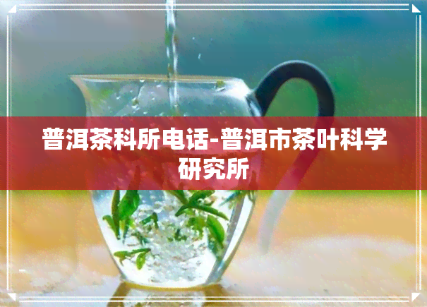 普洱茶科所电话-普洱市茶叶科学研究所