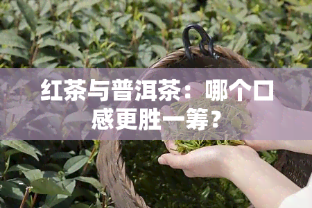 红茶与普洱茶：哪个口感更胜一筹？