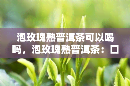 泡玫瑰熟普洱茶可以喝吗，泡玫瑰熟普洱茶：口感香醇，值得一试！