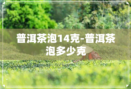 普洱茶泡14克-普洱茶泡多少克