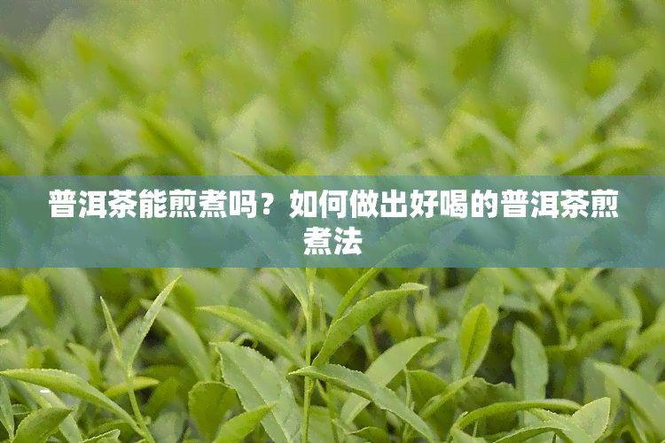 普洱茶能煎煮吗？如何做出好喝的普洱茶煎煮法