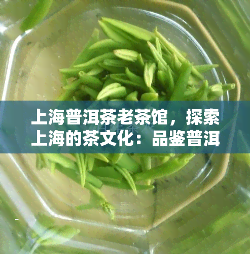 上海普洱茶老茶馆，探索上海的茶文化：品鉴普洱茶于老茶馆