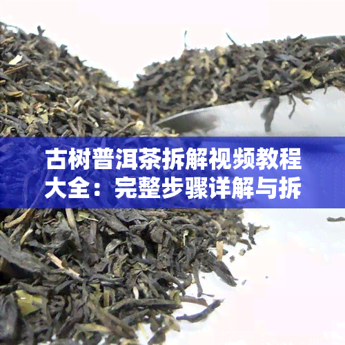 古树普洱茶拆解视频教程大全：完整步骤详解与拆茶技巧