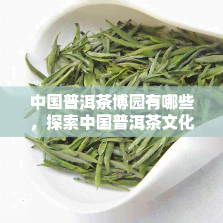 中国普洱茶博园有哪些，探索中国普洱茶文化：揭秘普洱茶博园的宝藏