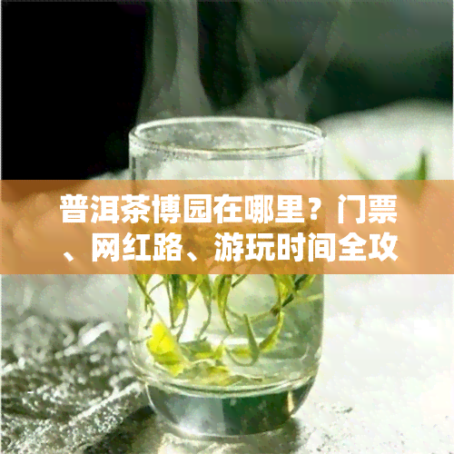 普洱茶博园在哪里？门票、网红路、游玩时间全攻略！