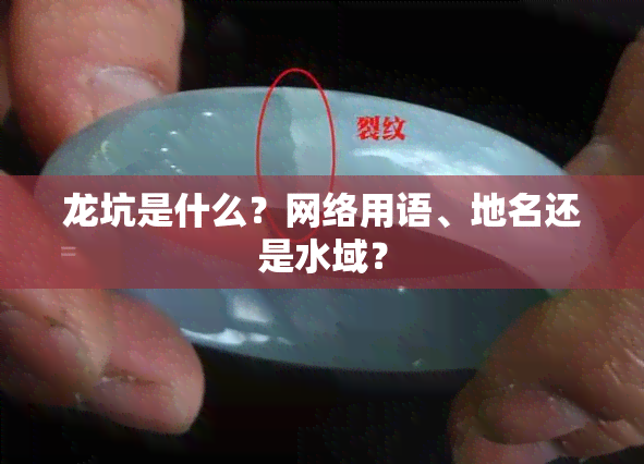 龙坑是什么？网络用语、地名还是水域？